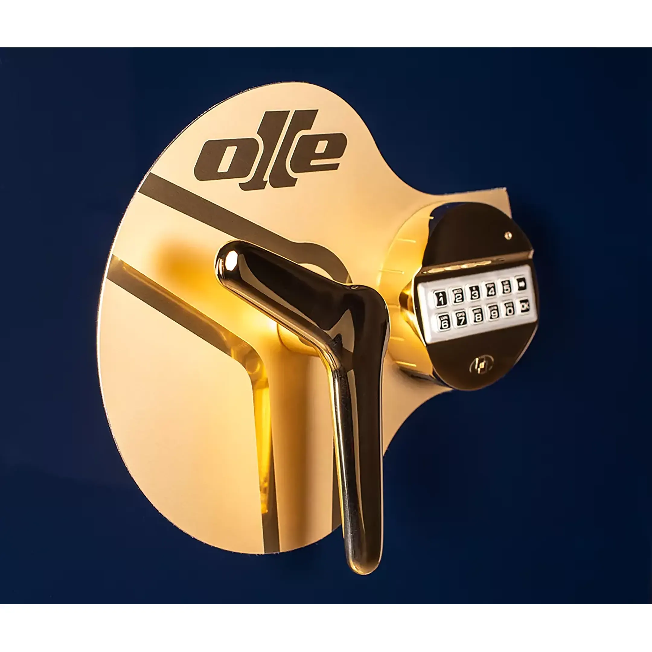 Сейф OLLE AR5E
